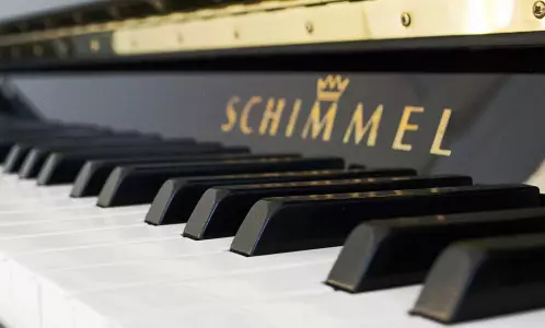 سیم های پیانو 